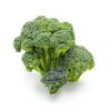 Sprouting Broccoli