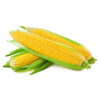 Sweet Corn