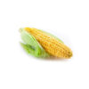 Sweet Corn