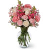 Ayrshire Rose